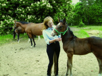 Trainerin mit dem Pferd in Interaktion