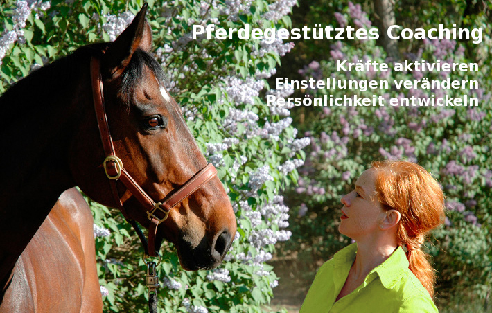 Logo Pferdegest&uuml;tztes Coaching
