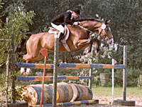 Sprungreiterin &uuml;ber Hindernis